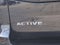 2025 Ford Expedition Active MAX